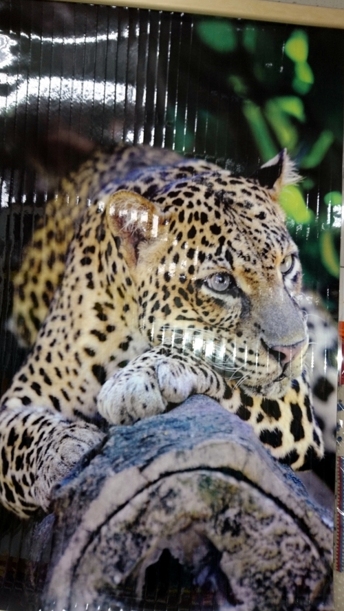 Гибкий настенный обогреватель-картина «Леопард»